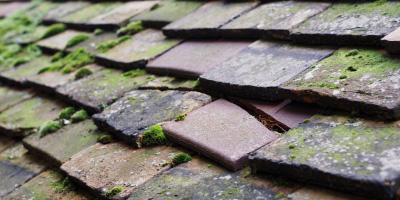 Cauldwell roof repair costs
